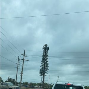 Meet your Posher, Brock